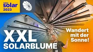 Photovoltaik Solarblume! Für wen ist sie gedacht? Sunflower Intersolar 2023