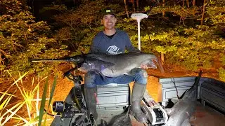 KENTUCKY BOW FISHING FOR PADDLEFISH!