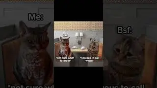 POV:GOING TO RESTAURANT WITH BSF #cat #viral #meme #fypシ゚viral #relatable #catmemes #relatablepost