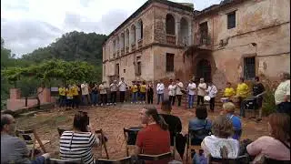 Dolors de Munt - Totes les formacions