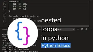 Python Basics - nested loops