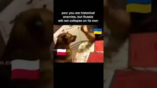 Translating Ukrainian memes - Part 7 #shorts #ukraine #meme
