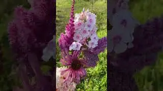Мужской букет #красивыйбукет#летнийбукет#астильба #флокс#флоксы#эхинацея#розовыеромашки#садовыецветы