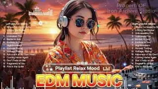Progressive House Ambient Mix 2025 Alan Walker Illenium Zedd Style Chill EDM for Sleep Study Focus
