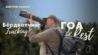 Эти птицы Гоа заставили нас забыть про пляжи! 🦚🏖
