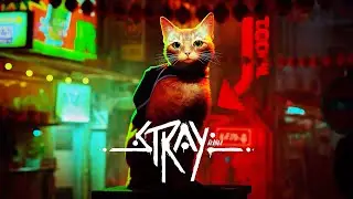 Stray: Inside the Wall