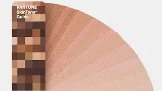 Pantone Skintone Guide