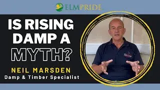 Is Rising Damp A Myth? Neil Marsden Sr.