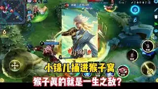 小锦儿捅进猴子窝，猴子真的就是一生之敌？