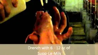 Supp-Le-Milk-Drenching for TEATS Video (FV).wmv