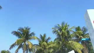 4K Ultra HDR video Nature