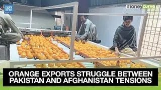 Orange Exports Struggle Amid Regional Tensions Between Pakistan and Afghanistan | Dawn News English