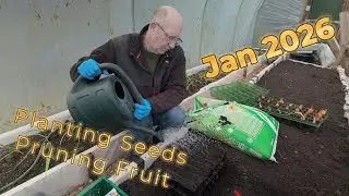 January seed sowing and fruit pruning