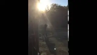 AR action in New Harmony.