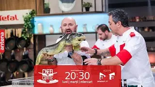 Gina Pistol a anunțat o probă ce nu s-a mai întâmplat la emisiunea Chefi la cuțite