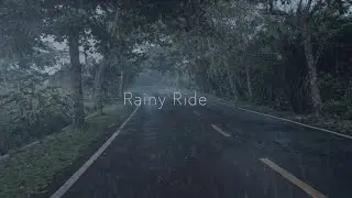 Peaceful Rainy Ride Through a Tree-Lined Countryside (Daytime)