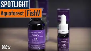 Just One Drop for Healthier, More Colorful Saltwater Fish? - Aquaforest FishV