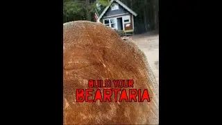 Our Beartaria - Still Waters