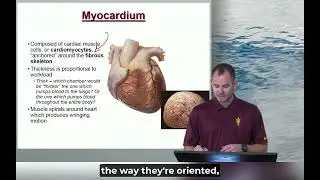 1 m9 Module 2 Lab Learning Materials Heart PL24 SI