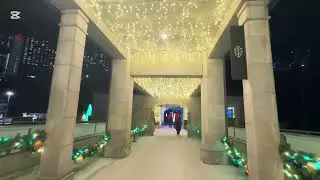 December 29, 2025