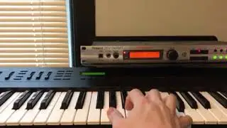 Roland XV 505 with expansion