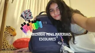 ORGANIZEI MEUS MATERIAIS ESCOLARES - deu muito trabalho 