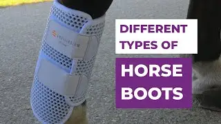Horse Boots 101 - Types of Horse Boots and What They&rsquo;re Used For