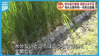 【深刻な水不足】農作物や生活にも影響　ダムの貯水量が激減…上越市が節水呼びかけ《新潟》