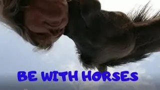 Meditation with lead mare Tankči  -  Relaxing music video