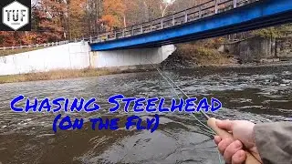 Chasing Steelhead (Ohio Lake Erie Tributary Fishing) (Giveaway)