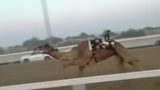 الشوط 2 (علاج) للسيد: هزاع هادي سالم المنصوري   توقيت 09:19