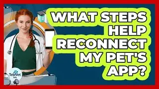 What Steps Help Reconnect My Pet's App?