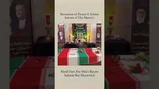 Ziyarat e Ashura recited infront of martyr of iran #muslim #shia #pakistan #india #worldshiapaigham