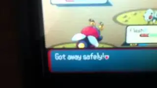 I'm an idiot, Shiny in Granite Cave