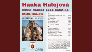 Vyletel vták - Ľudová pieseň pri husliach