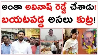 అంతా అవినాష్ రెడ్డే | బయటపడ్డ అసలు కుట్ర | సుప్రీంలో కూటమి ప్రభుత్వం పిటీషన్ | YS Avinash Reddy |