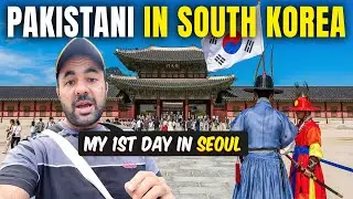 Seoul First-Timer Guide: Immigration, Hotel Tour & Best Spots