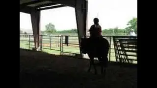 Natural horsemanship show June
