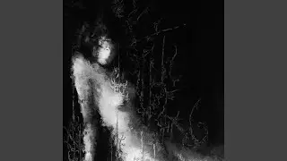 forgotten dream