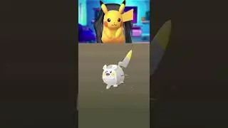 Hatching 10KM EGGS In Pok&eacute;mon Go! 😍