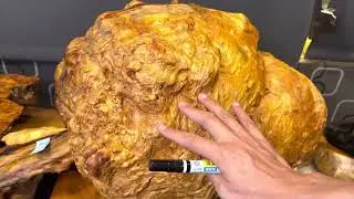 NO362 罕見的無切口樹瘤（黃檜土豆珠子瘤）可擺設 可雕刻 可車盆