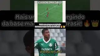 ✨ Eduardo, 15 anos, promessa do Sub-17 do Palmeiras! 💚⚽Craque da base mais forte do Brasil! 🔥👑#Palme