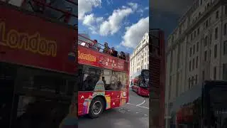 #citysightseeing