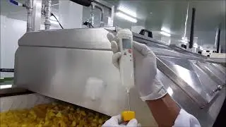 CNA AGRMIEX Frozen IQF Fruit Mango  Vietnam