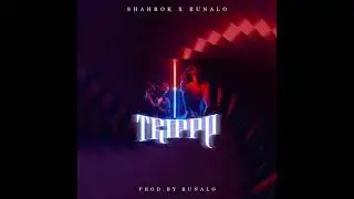 Shahrok x Runalo - Trippy (Official Audio) | 2021