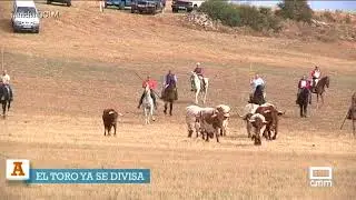 Encierro campero en Fuentelencina
