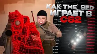 THE SED REALLY PLAY CS (NOT TRASH STREAMER) #cs2 #кс2