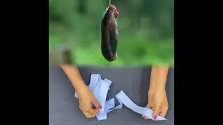 🤣👌👌👌2025 pov Must-Watch Crazy Clips Compilation #humor #fypシ #pov #fyp #foryou 😍😜