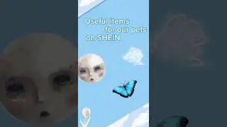 Useful items for out pets on SHEIN💙 #happy #aesthetic #life #shein #haul #animals #pets #cats #dog