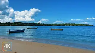 Sipora Island Paradise 🌊 Ocean Waves for Relaxation & Sleep [4K]